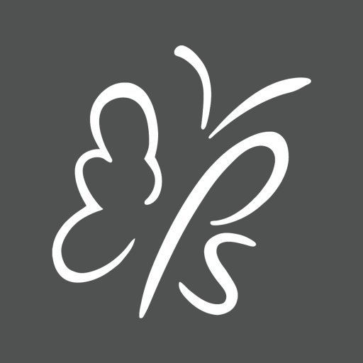 Plastic Surgery Assc