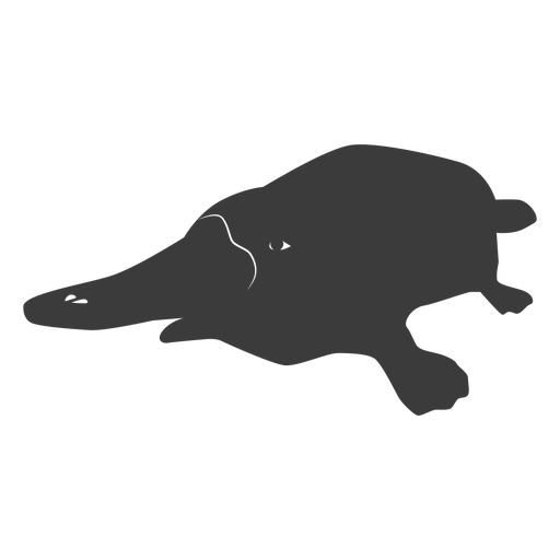 Platypus Duckbill Beak Tail Silhouette
