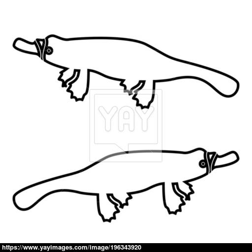 Platypus Or Duckbill Icon Black Color Illustration Flat Style