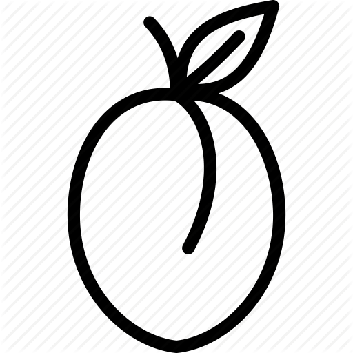 Fresh, Fruit, Plum Icon