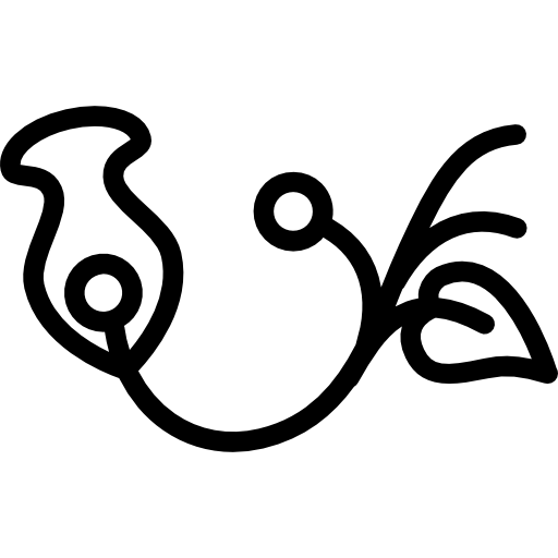 One Flower Floral Design Icons Free Download