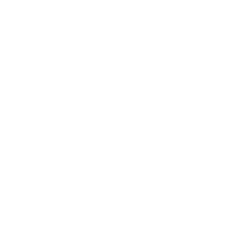 White Camera Icon