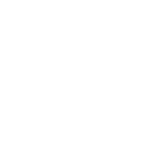 Icon Programs Mentoring