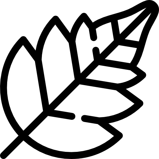 Ivy League Vectors, Photos And Free Download