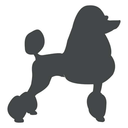 Poodle Transparent Png Or To Download