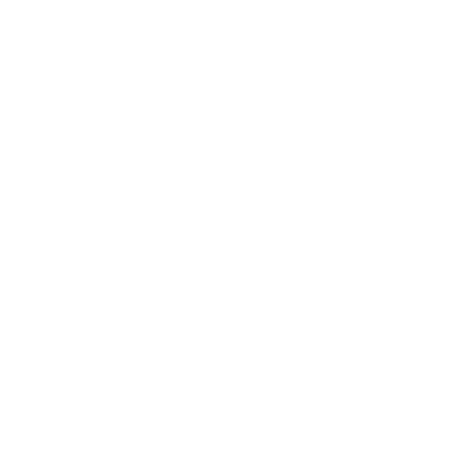 Icon Windows White