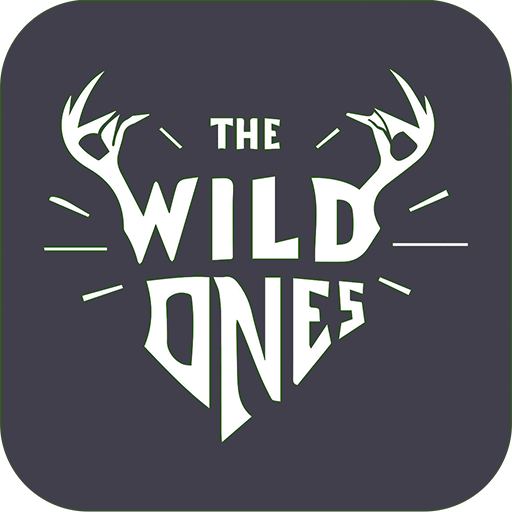 The Wild Ones Hostel Iit Bombay