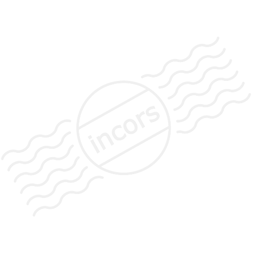 Iconexperience M Collection Orientation Portrait Icon