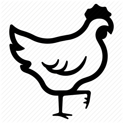 Animal, Bird, Chicken, Farm, Hen, Poult, Poultry Icon