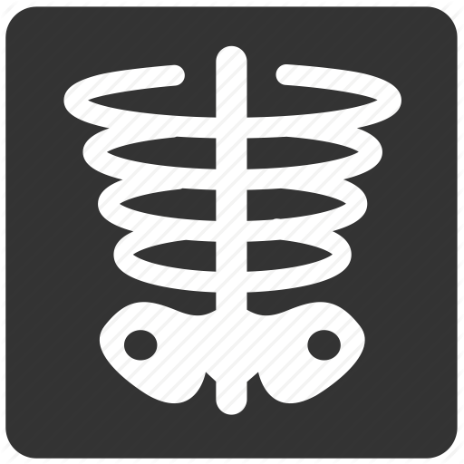 Bone Slide, Health, Health Check, Identify, Medical, X Ray Icon