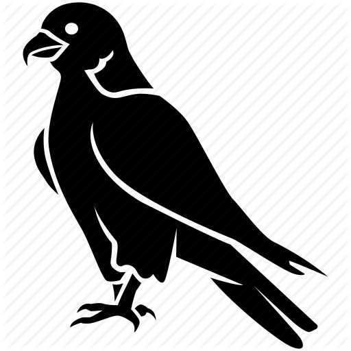 Bird, Duck, Eagle, Falcon, Hawk, Peregrine, Prey Icon
