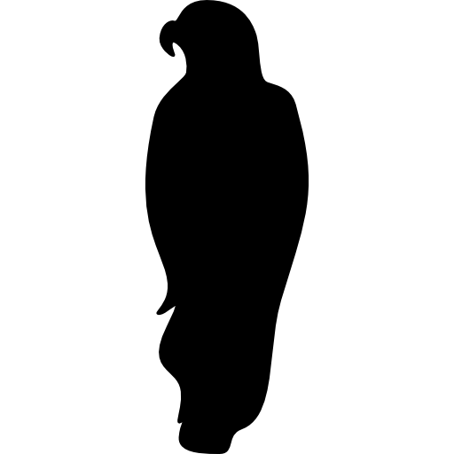 Bird Of Prey Icon