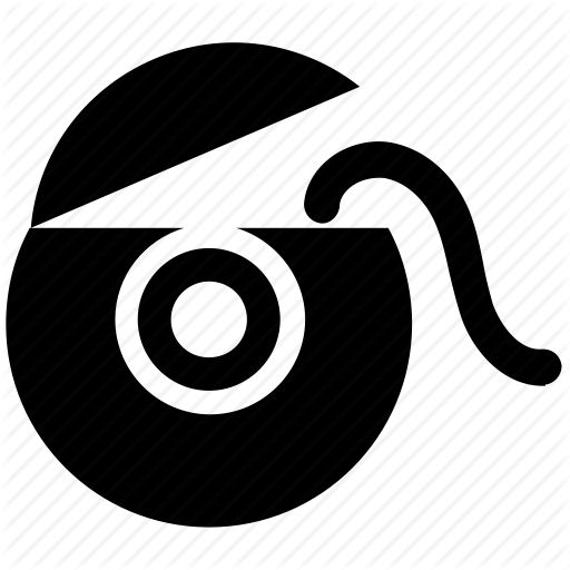 Professional Internship