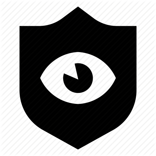 Eye, Private, Protection, Shield Icon