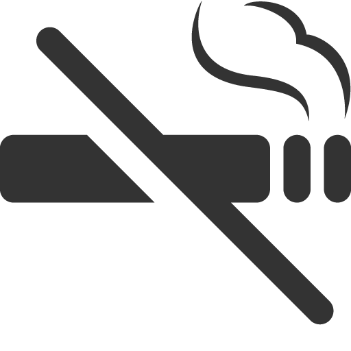 No Smoking Icon