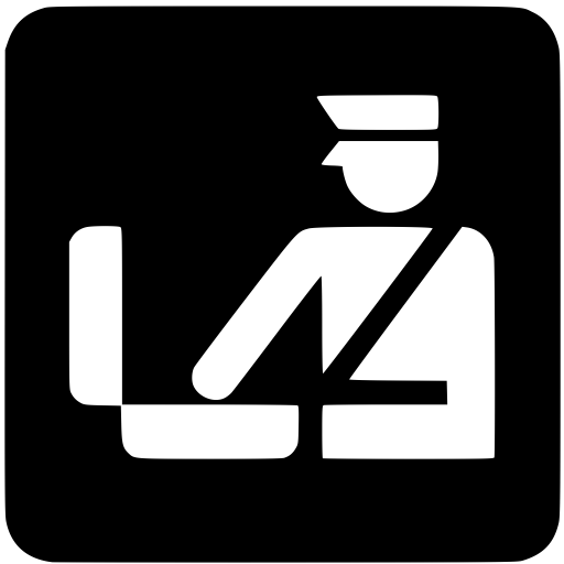 Customs Icon
