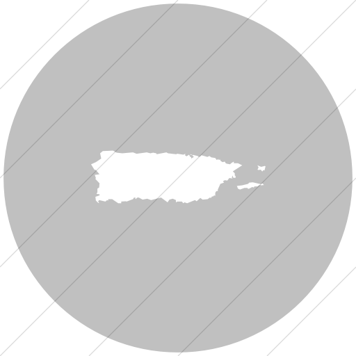 Flat Circle White On Silver Us States Puerto Rico Icon
