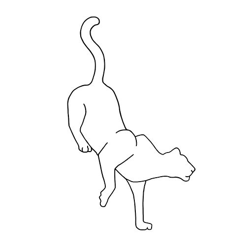 Cropped Pumapix Website Icon