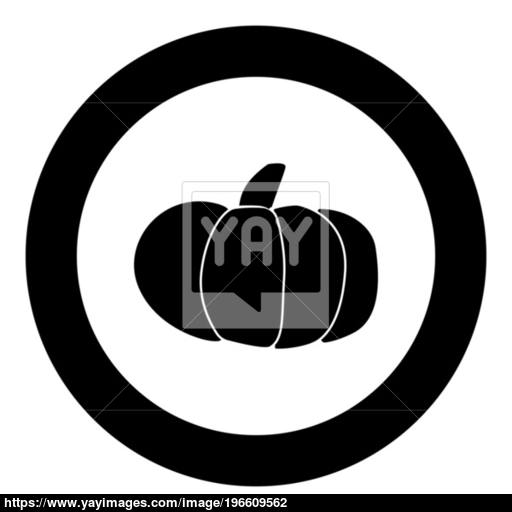 Pumpkn Black Color In Circle Vector
