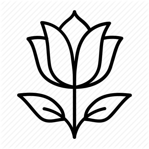 Beauty, Cosmetics, Flower, Natural, Pure Icon