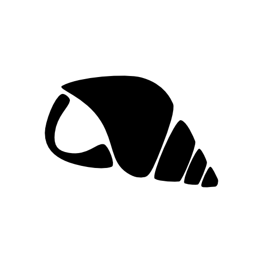 Nautilus Shell Of Sea Life To Hear The Sea Sound For Relaxation