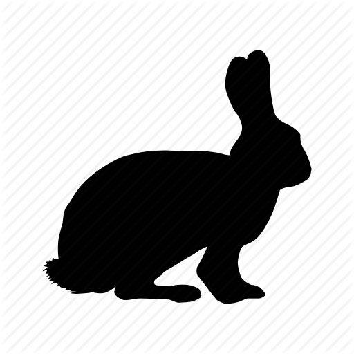 Conejo, Rabbit Icon