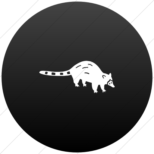 Flat Circle White On Black Gradient Animals Raccoon Icon