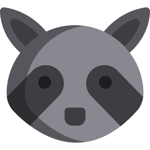 Raccoon
