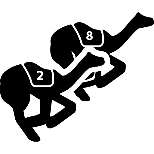 Camels Race Icons Free Download