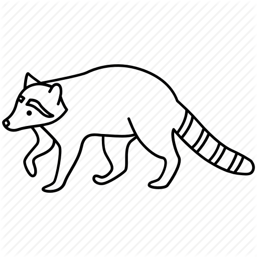 Racoon Icon