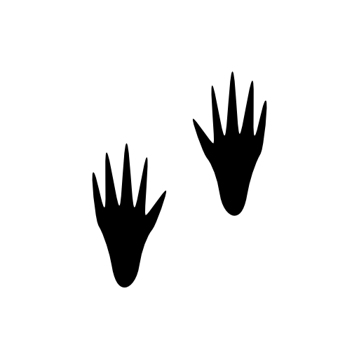 Racoon Pawrints Free Vector Icons Designed