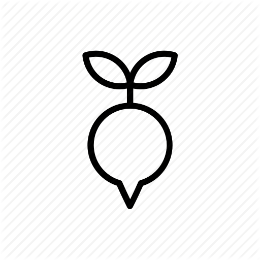 Food, Radish, Vegetable Icon