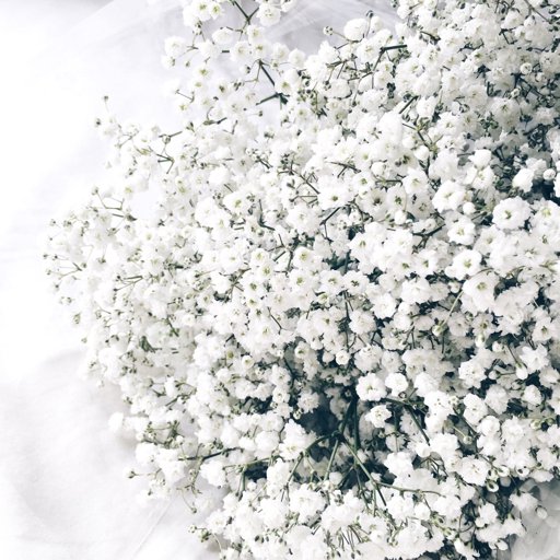 Raichu Let's Go! Amino