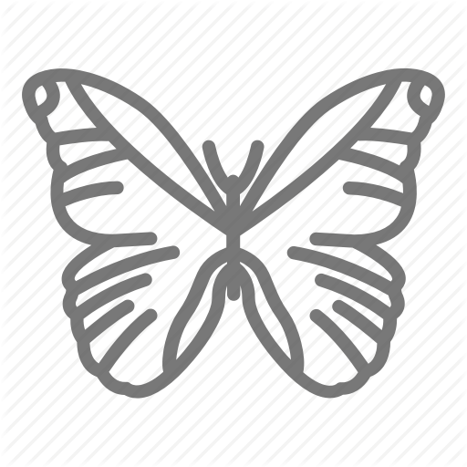 Butterfly, Insect, Morpho, Wings Icon