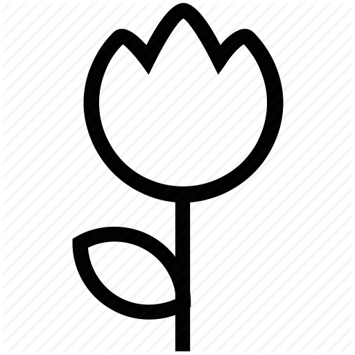 Bloom, Blossom, Bunch, Firewheel Tree, Floral, Flowers, Petals