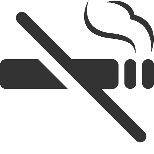 No Smoking Icon