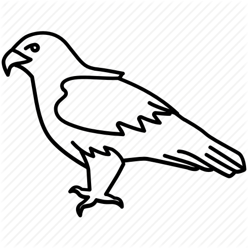 Bird, Eagle, Falcon, Flight, Golden Eagle, Hawk, Raptor Icon