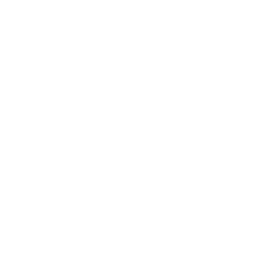 White Rar Icon