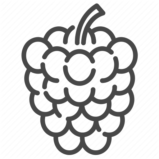 Berry, Blackberry, Fruit, Mulberry, Raspberry, Wild Icon