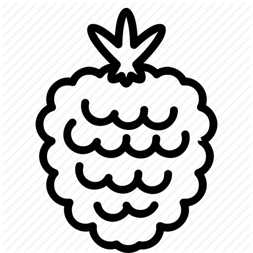 Berry, Fruit, Raspberry Icon