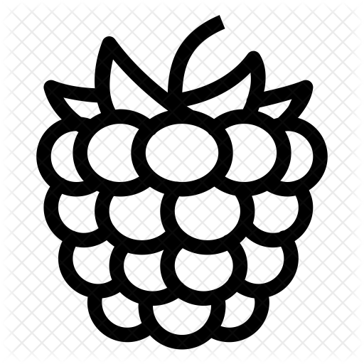 Collection Of Free Raspberry Drawing Download On Ui Ex