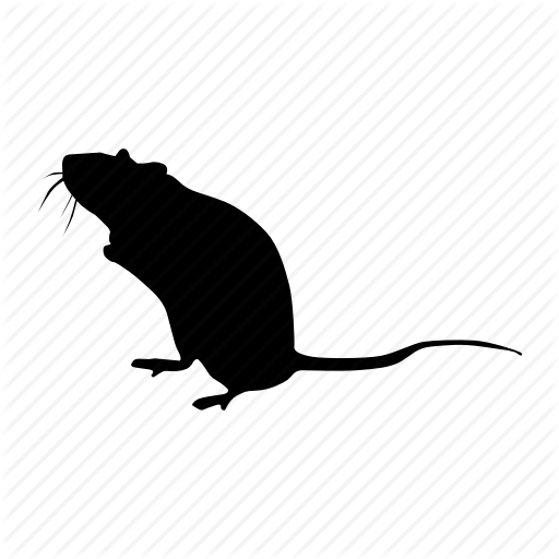 Rat, Raton Icon