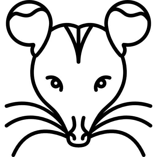 Rat Icons Free Download