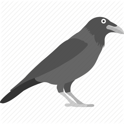 Corvus Bird, Crow, Halloween Crow, Halloween Raven, Jackdaw Icon