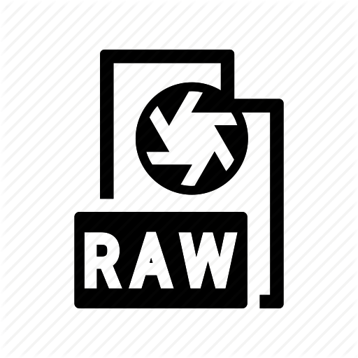 Camera, Digital, Extension, File, Format, Photo, Raw Icon