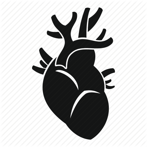 Realistic Heart Transparent Png Clipart Free Download