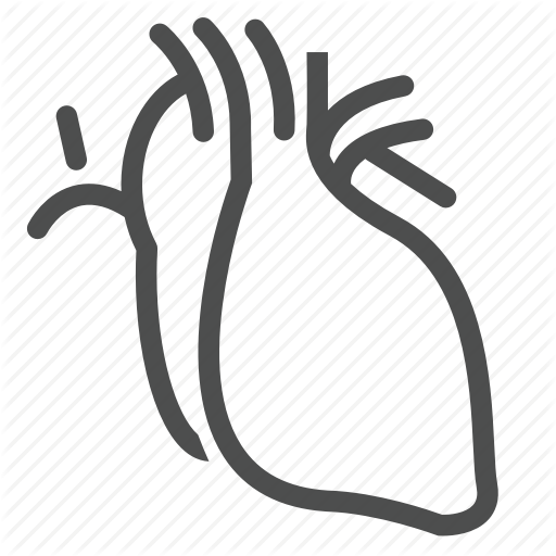 Body, Care, Health, Heart, Part, Pulse, Realistic Icon