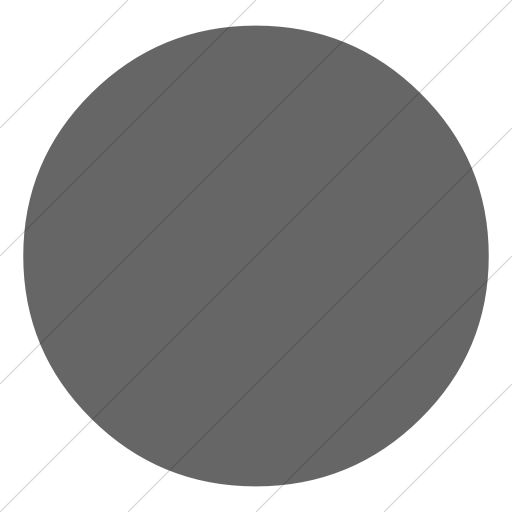 Simple Gray Classica Record Button Icon