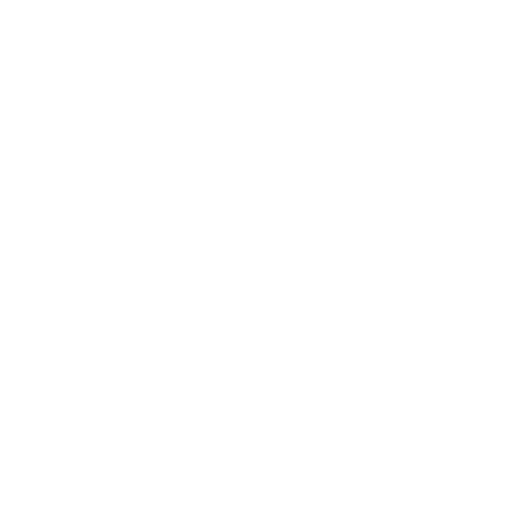 White Empty Flag Icon