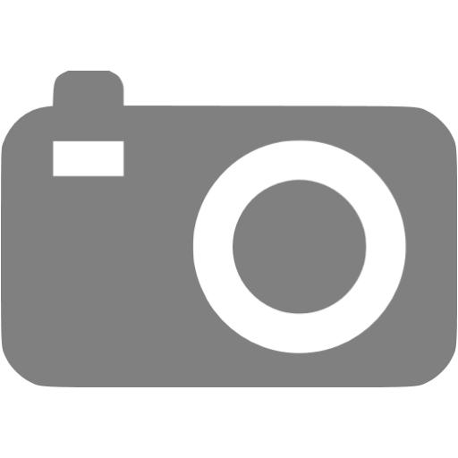 Gray Compact Camera Icon